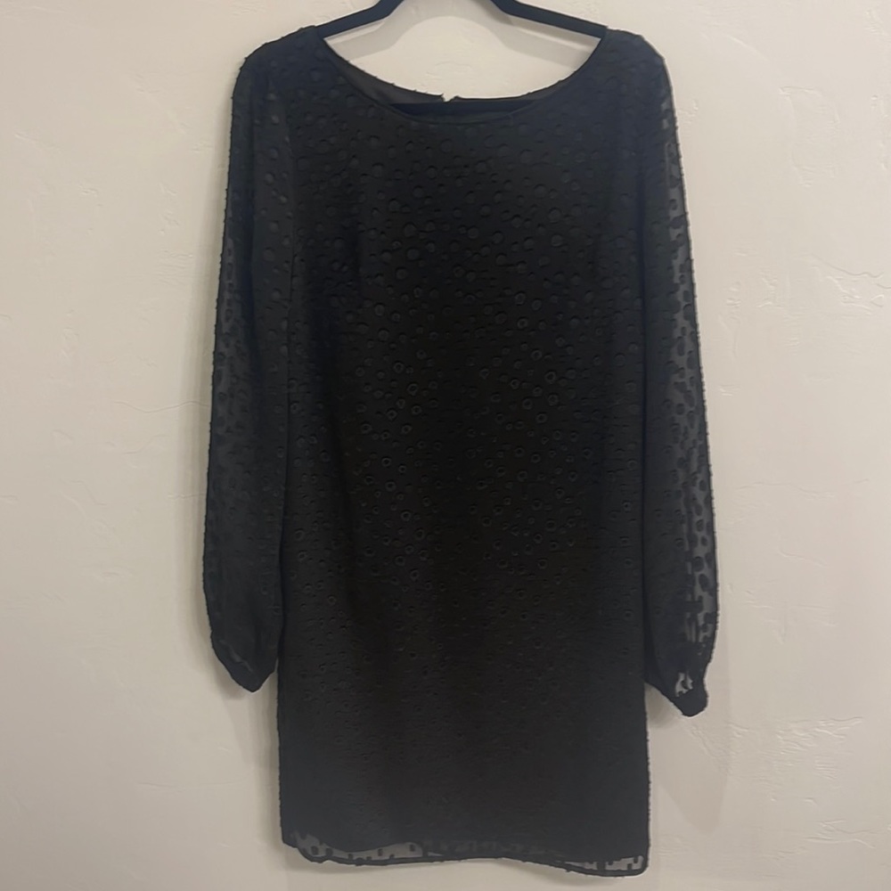 Ann Taylor Shift Dress with Sheer Sleeves - Size 8 NWT